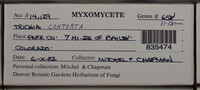 Image Associated With the Occurence